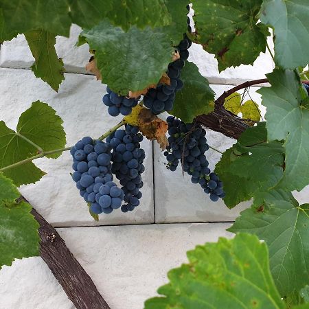 Villa Familia New Athos Εξωτερικό φωτογραφία