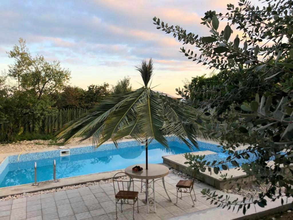 Villa Familia New Athos Εξωτερικό φωτογραφία